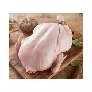 Frozen Chicken in the UAE: Price Trends and Buying Tips