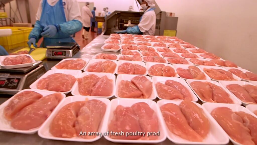 Top Frozen Meat Suppliers in Dubai: Quality and Convenience at Your Doorstep