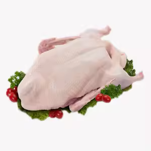 High-Quality Frozen Duck: Freshness Delivered to Your Door