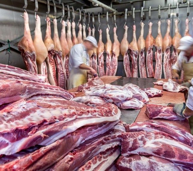 fresh-meat-shop-in-dubai