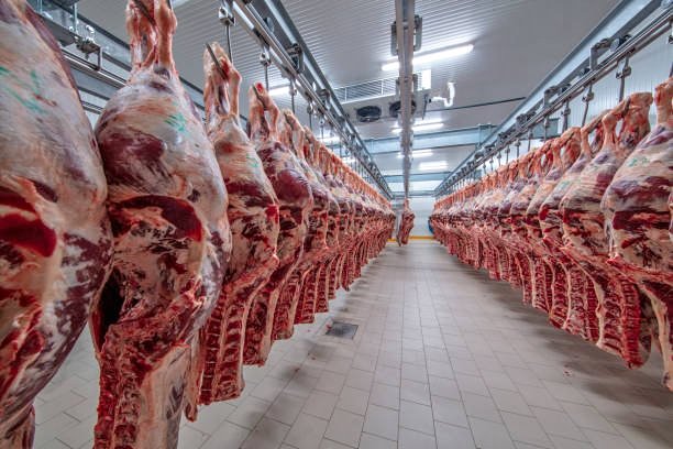 meat delivery dubai